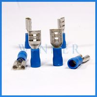 سرسیم فیشی کولری مادگی 2.5